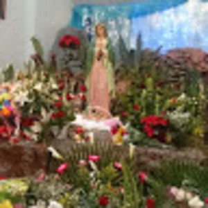 Meet your Posher, Fernando